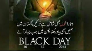 Aps Peshawar attack 16 December 2014pak army school 16 December 2014 [upl. by Amary]