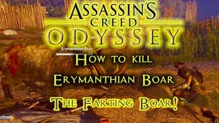 How to kill a farting boar the Erymanthian Boar in assassins creed odyssey  2160p [upl. by Aikas]