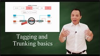 IEEE 802 1Q Tagging and Trunking 101 [upl. by Clapp]