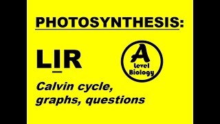 PHOTOSYNTHESIS LIGHT INDEPENDENT STAGE  CALVIN CYCLE  GRAPHS [upl. by Duile296]