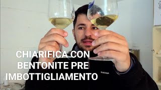 COME FARE IL VINO BIANCO IN CASA EP 6 CHIARIFICA CON BENTONITE PRE IMBOTTIGLIAMENTO [upl. by Ynnob935]