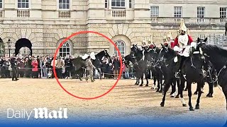 Another spooked Household Cavalry horse throws rider during military parade in London [upl. by Eserahc]