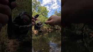 Creek Fishing fishing creekfishing [upl. by Sharline]