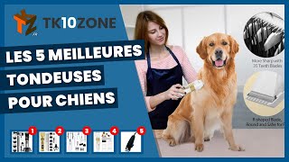 Les 5 meilleures tondeuses pour chiens [upl. by Carolynn789]