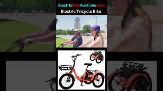 Electric Tricycle Bike 350W [upl. by Chipman413]