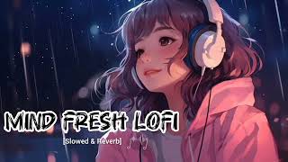 Mind Fresh Lofi  New lofi song  lofi mashup  slowed amp reverb  lofi slowedandreverb newlofi [upl. by Ahsenyt]