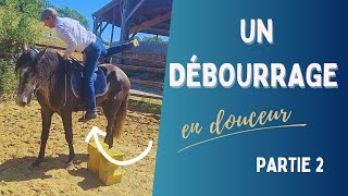 ⭐ Comment débourrer un cheval partie 2 ⭐ [upl. by Ebbarta]