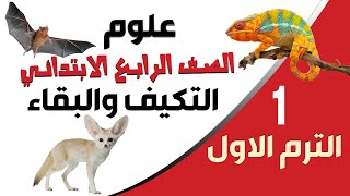 الدرس الاول علوم الصف الرابع الابتدائي👈التكيف والبقاء 👈المنهج الجديد👈ترم اول مستر ابراهيم السيد [upl. by Pampuch]