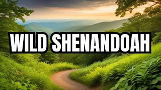 Explore The Breathtaking Beauty Of Shenandoah National Parkfamily vlogife in usa vlog daily vloger [upl. by Itnava]