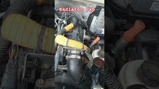 Check out the Radiator Cap And Cooling system maheshji4640 bolero driver driving shorts [upl. by Nytnerb]