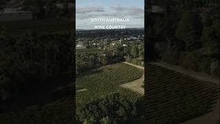 Explore Barossa Valley South Australia’s Premier Wine Destination [upl. by Silevi]