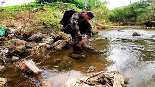 EXPLORANDO RÍO y SENDEROS en BUSCA de ORO PECES Y PLANTAS [upl. by Odnama305]