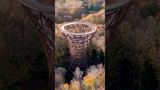 Camp Adventure Denmark drone tower theforesttower fall autumn colors outdooractivities [upl. by Prinz352]