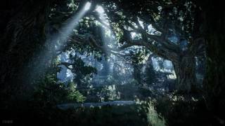 The Witcher 3 Wild Hunt  In the Heart of the Woods Theme Unofficial OST [upl. by Elihu]