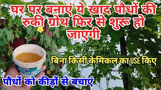 नाम नहीं काम का है ये fertilizer  घर में बनाएं बिल्कुल फ्री Best Organic fertilizer kaise bnaye [upl. by Bettine180]