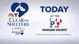 Clear the Shelter today with 12News today at the Humane Society of Southeast Texas [upl. by Aeneus259]