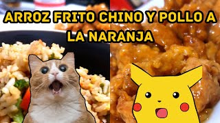 ARROZ FRITO CHINO y POLLO A LA NARANJA Receta Crujiente [upl. by Rehtnug952]