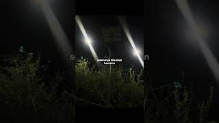 percayalah  afgan slowed reverb  TikTok Version lyrics lyrics4mood shorts [upl. by Einahpts487]