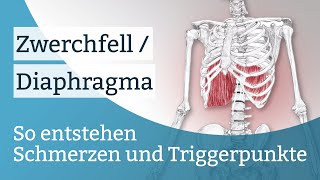 Zwerchfell  Diaphragma Schmerzen Triggerpunkte und deren Aktivierung [upl. by Akissej]