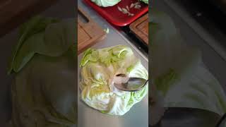 Recept kiseli kupus zimnica recept recipe kupus food foodiesofinstagram foodlover [upl. by Tonnie]