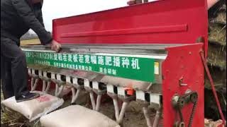 Direct planting of winter wheat into rice stubble [upl. by Ilram]