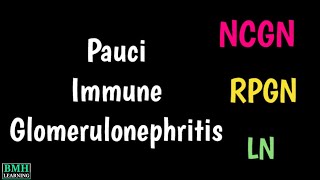 PauciImmune Necrotizing amp Crescentic Glomerulonephritis  NCGN  PauciImmune Glomerulonephritis [upl. by Naltiac147]