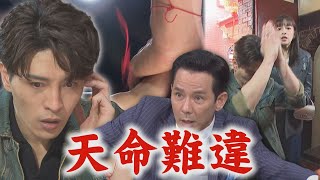 【天道】EP255預告 開陽還想害均楠遭道成控制站高樓 鍾軍求月老成全卻發生連串怪事被子彤笑愛哭QQ│完全娛樂 [upl. by Calley]