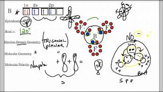 Hybridization Lecture [upl. by Ynnal]