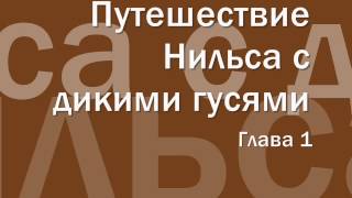 Путешествие Нильса с дикими гусями 1 аудиосказка онлайн слушать [upl. by Iahcedrom135]