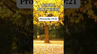 Proverbs 1921 🙏 short prayer proverbs [upl. by Lasyrc807]