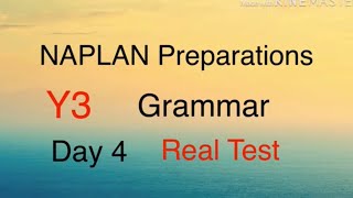 NAPLAN Preparations Year 3 Grammar Day 4  Types of sentences and articles for Real Test [upl. by Varin]