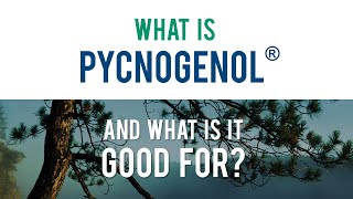 Pycnogenol® General Animated Infographic [upl. by Mccullough]