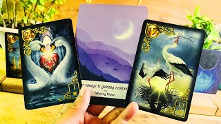 Leo 🍀CONGRATULATIONS LEOS…I SEE A LOT OF MONEY COMING  ♌️Money Tarot [upl. by Maller]