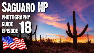 SAGUARO NATIONAL PARK West Landscape Photography USA Arizona [upl. by Nanoc376]