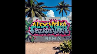 Alex Velea  Pierde Vara suman X MDN lounge remix [upl. by Pelag]