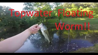 Pond Bass Fishing Topwater Floating Worm [upl. by Koehler]