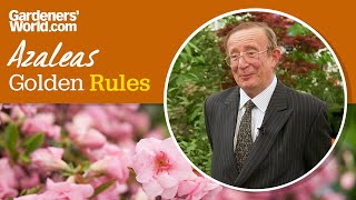 Caring for azaleas  Golden Rules [upl. by Kevyn]