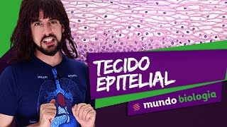 🧫 Histologia 13 Tecido Epitelial  Biologia  ENEM [upl. by Tereve188]