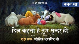 Dil Kehta Hai Tum Sunder Ho  Shree Hita Ambrish Ji  Best Krishna Bhajan [upl. by Airalav]