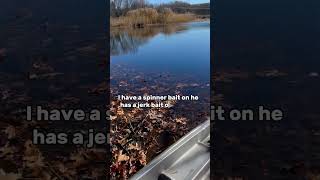 Fishing at a new pond every day P1 Fishing at school pond fishingbassfishingshortsnewnovember [upl. by Farmer]