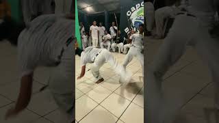 Capoeira Arte BrasileiraMestre Jonas capoeira podcastrodaaberta capoeiraalagoana capoeiramaceio [upl. by Ilime56]