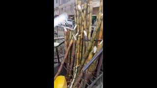 how we peel sugarcane [upl. by Karlotta]