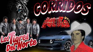 ☆puros corridos perrones 💥 los tigres del norte ☆☆Chalino Sánchez 💥 el rey del corrido 💥💥 [upl. by Filemon889]