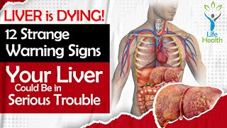 LIVER is DYING  12 Strange Warning Signs Your Liver Could Be in Serious Trouble  LifeHealth [upl. by Nylrem]