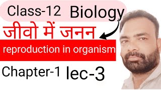 लघु बीजाणु धानी का विकास development of microsporangium [upl. by Reg748]