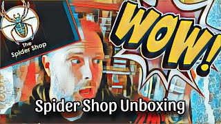 The Spider Shop unboxing  4 new species and extras [upl. by Maureene]