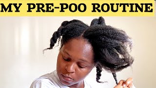 HOW I PREPOO MY NATURAL HAIR FROM START TO FINISH  NATURAL HAIRCARE TIPS [upl. by Fina]