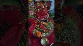 Agana padharo mahrani🙏👣🌺 song navratrispecial navratri trend trending [upl. by Freeland]