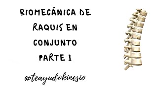 BIOMECÁNICA DE RAQUIS EN CONJUNTO 1° PARTE ROM PERFIL ÓSEO Y SITUACIÓN ARTICULAR [upl. by Fiske]