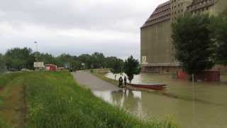 Hochwasser Wien Hafen Albern 04062013 [upl. by Toblat]